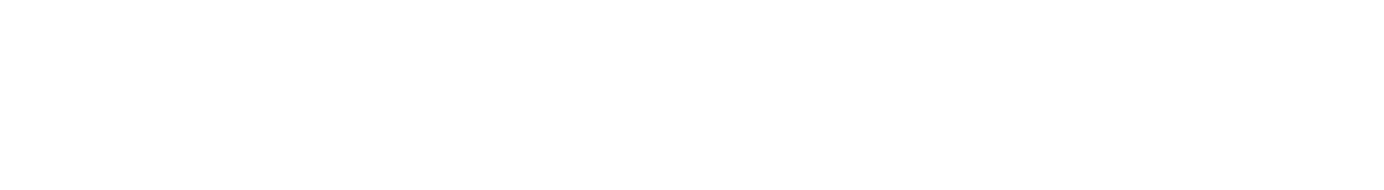 Southern Ocean Solutions Logo